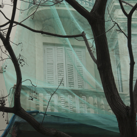 Veiled VII