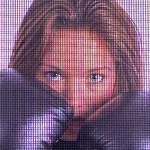 No Fight▫️Jacobien de Korte