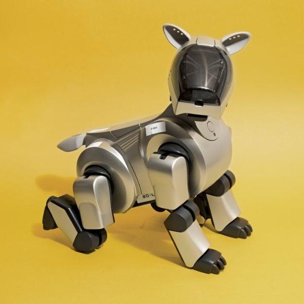 Dog Robot I