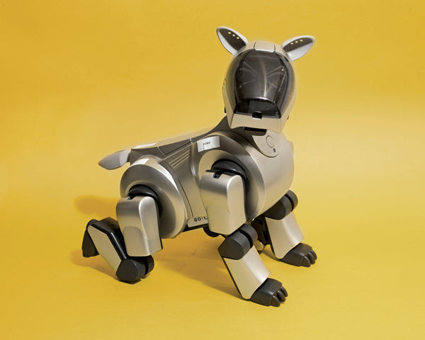 Dog Robot I